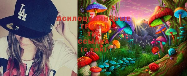 ГАЛЛЮЦИНОГЕННЫЕ ГРИБЫ Алексин