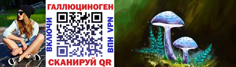 купить  цена  Волгоград  Псилоцибиновые грибы мухоморы 